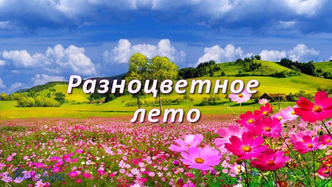 Разноцветное лето