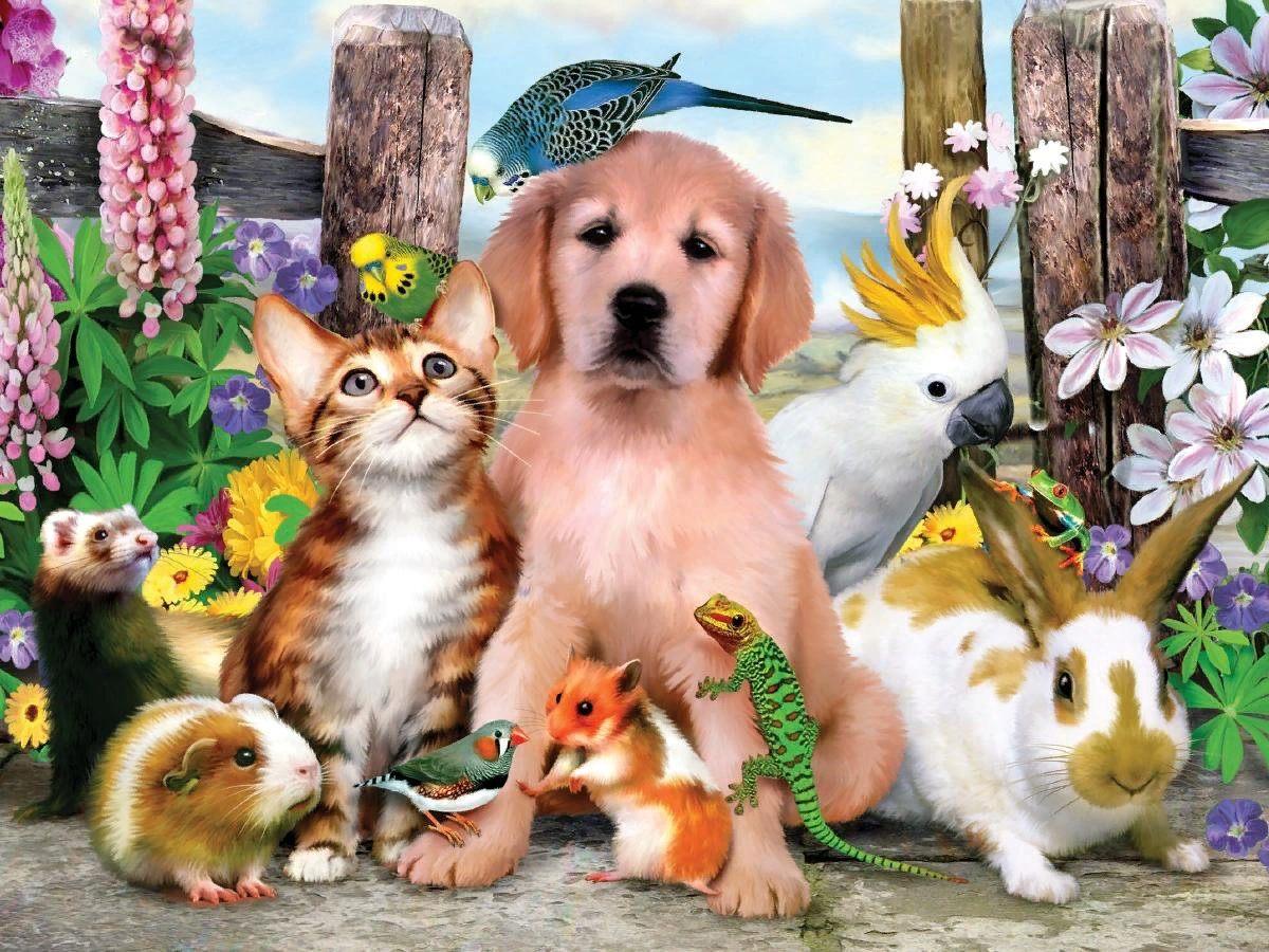 Братья наши меньшие. Pets and other animals 3 класс Верещагина. Домашние животные. Животные вместе. Домашние любимцы.