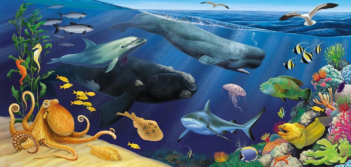 Море живое существо. Обитатели морей и океанов. Обитатели моря для детей. Подводные обитатели. Обитатели океанов для детей.