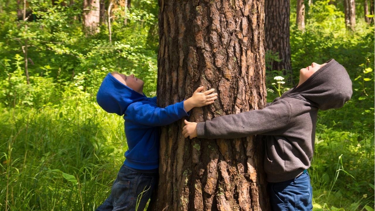 Экологическая викторина «Я хочу дружить с природой» - Культурный мир  Башкортостана