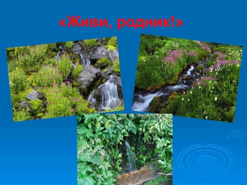 Живи родник живи. Жив родник живи. Живи родник живи. Экологическая экскурсия живи родник. Родник у реки.