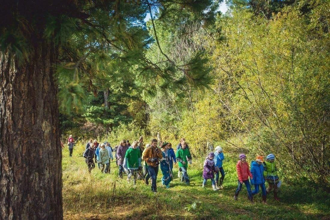 Лучано-Ипатовский кедровник