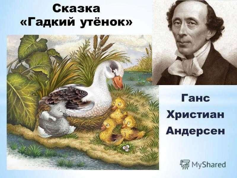 План на сказку гадкий утенок