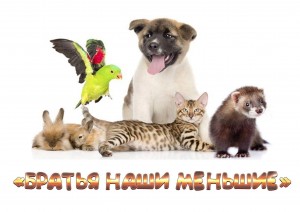 Познавательный час«Братья наши меньшие»