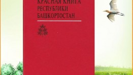 Познавательный час «Открывая красную книгу»