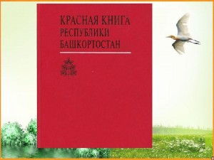 Познавательный час «Открывая красную книгу»