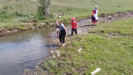 Экологическая экскурсия «Родная сторона»