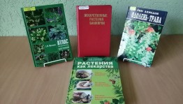 Викторина «Целебные травы Башкортостана»