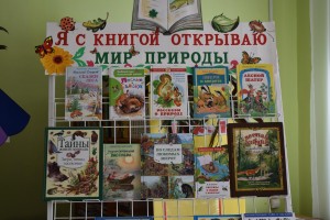 Экологическая мозаика «Заходи в зеленый дом, чудеса увидишь в нем»