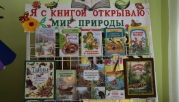 Экологическая мозаика «Заходи в зеленый дом, чудеса увидишь в нем»
