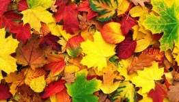 Вечер отдыха «Осеннее ассорти»