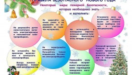«Безопасный новый год»