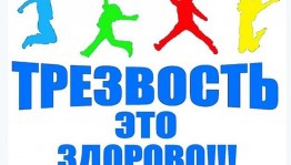 Информационный час «Мы за трезвость!»