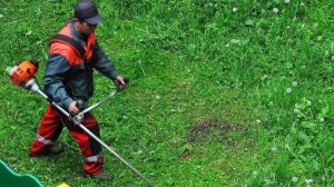 Благоустройство территории СДК