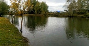 Краеведческий час «Именитые люди села»