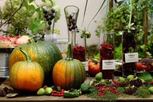 Развлекательная программа«Осенний сад»