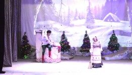 «Новогодний звездопад»