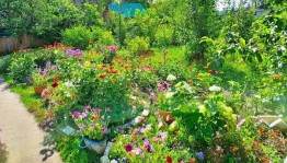 Конкурс «Самый лучший двор»