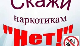 «Даже не пробуй, это опасно»