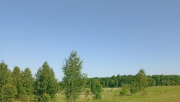 Информационная программа «Жизнь прекрасна – не губи её»