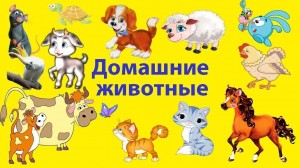Инфочас «Мой близкий друг»