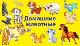 Инфочас «Мой близкий друг»