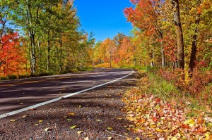 Конкурс стихотворений «Осенняя пора, очей очарованье...»