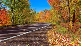 Конкурс стихотворений «Осенняя пора, очей очарованье...»