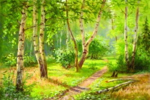 Экологическая акция «Деревья–наши лучшие друзья»