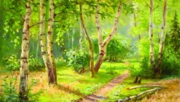 Экологическая акция «Деревья–наши лучшие друзья»