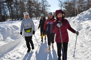 День здоровья «Движение-жизнь»