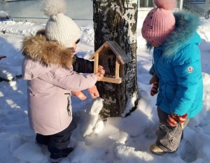 Экологическая акция « Покормите птиц зимой»