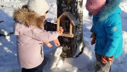 Экологическая акция « Покормите птиц зимой»