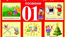 «Знает каждый, гражданин, этот номер 01»