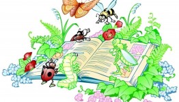 Игровая программа«Загадки лета»