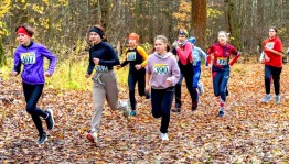 Спортивная программа «Кросс»