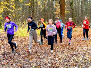 Спортивная программа «Кросс»