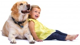 Беседа«Мой четвероногий друг»