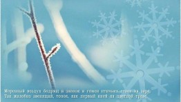 Экскурсия«День первых признаков зимы»