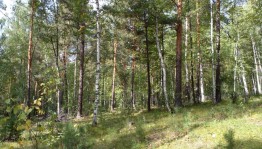 Познавательно–развлекательные игры «Мир вокруг меня»