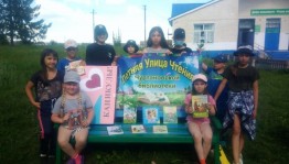 Библиотечный бульвар «Летняя улица чтения»