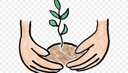 Акция «Посади дерево»