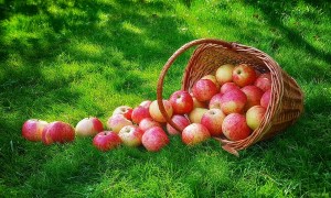 Развлекательная программа «Яблочный Спас встречаем– лето провожаем»