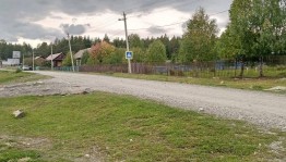 Акция«Осенняя пора»