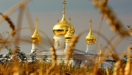 Сетевая акция «Твои, Россия, купола»