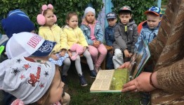 Весёлый арбузник «Праздник урожая»