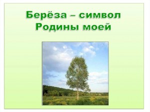 Конкурс чтецов «Русская берёза – символ родины моей!»