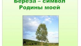 Конкурс чтецов «Русская берёза – символ родины моей!»