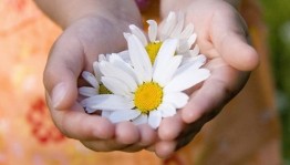 Акция «Подари ромашку счастья»