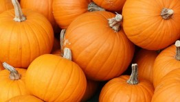 Конкурсный игровая программа«Барыня–тыква»